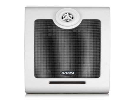 壁掛揚(yáng)聲器